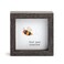 DEMDACO Sharon Nowlan Find Your Sunshine Dark Woodgrain 4 x 4 Wood and Glass Shadow Box