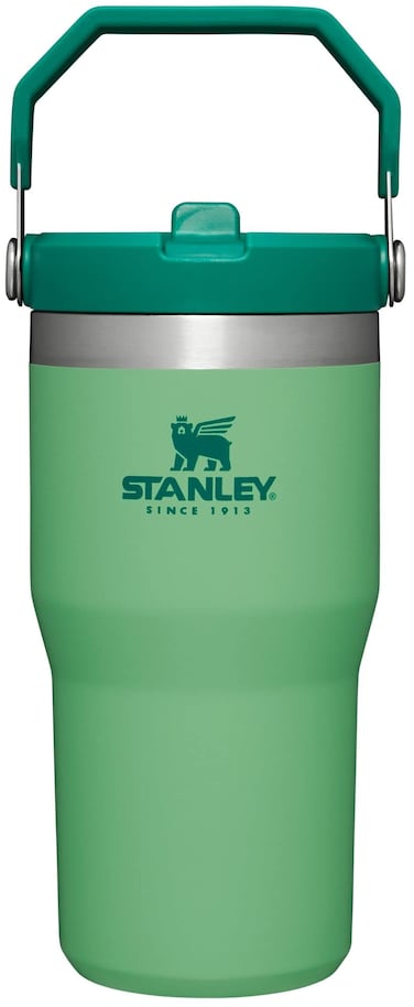 Stanley IceFlow Flip Straw Tumbler with Handle 20 oz   Twist On Lid and Flip Up Straw   Leak Resistant Water Bottle   Insulated Stainless Steel  BPA-Free   Jade
