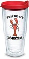 Tervis Friends Lobster Made in USA Double Walled Insulated Tumbler Travel Cup Keeps Drinks Cold &amp; Hot, 24oz, Classic