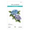 Spellbinders Hydrangea Etched Dies, Metal