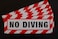 (5 Pack) No Diving Vinyl Stickers Decals 10" X 3.5" Each - Pool Safety Warning Caution (X5PS 81) Split Back for Easy Peel and Application