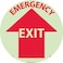 NMC GWFS25 EMERGENCY EXIT Sign &acirc;&euro;&ldquo; 17in. 6 Hour Glow Polyester Walk On Floor Sign with Red on Glow Yellow