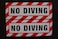 (2 Pack) No Diving Vinyl Stickers Decals 10" X 3.5" Each (X2PS 81)