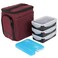 EDC Meal Prep Bag - Full Meal Prep Lunch Box Management System includes Portion Control Meal Prep Containers + Ice Pack (3 Meal Insulated Cooler Bag, Black) (3 meal (Mini), Maroon (Waxed Canvas))