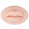 HOTWE Silicone Lips - Tattoo Practice Skins 3D Fake Skin 5D Soft Lip Realistic Mouth for Permanent Makeup Tattooing (Light Skin)