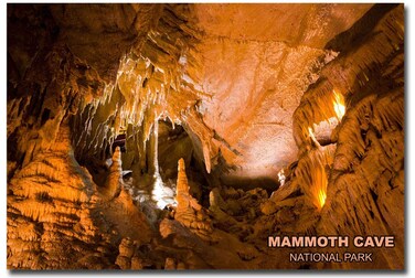 Mammoth Cave National Park Travel Landscape Refrigerator Magnet Size 2.5" x 3.5