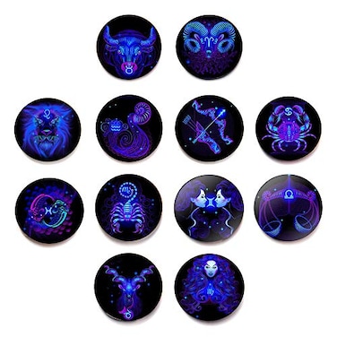 ARTSTORE Refrigerator Magnets,12PCS Decorative Photo Fridge Magnets for Magnetic Message Whiteboard,Bulletin Board,Office Cabinets,Constellation