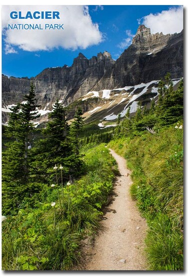 Glacier National Park Nature Refrigerator Magnet Size 2.5" x 3.5