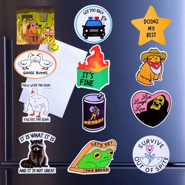 YJ PREMIUMS 12PC Funny Fridge Magnets Cute Fun Sassy Quirky Novelty Magnet for Adults Car Desk Kitchen Meme This is Fine Dumpster Dog Live Laugh Love Howdy Silly Goose Bumps Raccoon Accessories Gifts