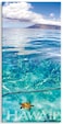 Panoramic Hawaiian Art Collectible Refrigerator Magnet - Emerald Sea by Michael &amp; Monica Sweet