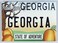 Georgia State License Plate Fridge Collector's Souvenir Magnet 2.5" X 3.5