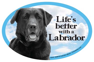 Prismatix Decal Cat and Dog Magnets, Lab Retriever, Black