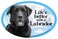 Prismatix Decal Cat and Dog Magnets, Lab Retriever, Black