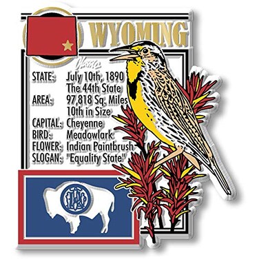 Wyoming State Montage Magnet by Classic Magnets, 3" x 3.3", Collectible Souvenirs Made in The USA