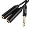 HOSONGIN 1/4" Splitter Cable, TRS to Dual 1/4" TRS Stereo Y Adapter, Gold-Plated Connectors, High-Fidelity Sound, Durable Aluminum Alloy Shell for Studio, DJ, Headphones, Live Sound Systems - 1.6Ft