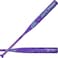 Rawlings   Eclipse Fastpitch Softball Bat   32-inch   -12