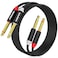 HOSONGIN Dual 1/4 inch TS to Dual 1/4 inch TS Stereo Interconnect Insert Cable, PVC Jacket Gold-Plated Plug Double Shielding Cable, 3.3 Feet