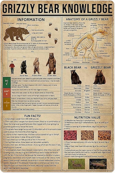 Grizzly Bear Knowledge Metal Sign Anatomy Of A Grizzly Bear Poster Tin Sign Retro Plaque Wall Decor For Home Kitchen Cafe Club Garage Man Cave 8x12 Inch