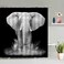 African Elephant Shower Curtain Grey Wild Animal Elephants Safari Large Powerful Animals Africa Wildlife Boys Girls Men Zoo Black Gray Bathroom Curtain Sets Polyester Fabric with Hooks 70 X 70 Inch