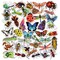 DETICKERS Bug Stickers for Kids Insect Stickers for Scrapbooking for Teachers Stickers for Water Bottles Waterproof Insect Stickers
