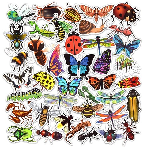 DETICKERS Bug Stickers for Kids Insect Stickers for Scrapbooking for Teachers Stickers for Water Bottles Waterproof Insect Stickers