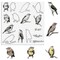 Birds Cutting Dies and Clear Stamps Animals Clear Stamps with Die Cuts for Card Making, Thankful Words Animal Embossing Stencil Template Tool for DIY Scrapbooking Photo Album Card Craft Decoration