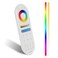 Goldlife C1-2 RF Remoter, 4-Zone 2.4G RF Remote Control Compatible with RGBW CCT RGB C1-1 LED Controller, 360&Acirc;&deg; 99ft Wireless Control Distance, 4 Channel Group Control for Home Boat Pool Lights