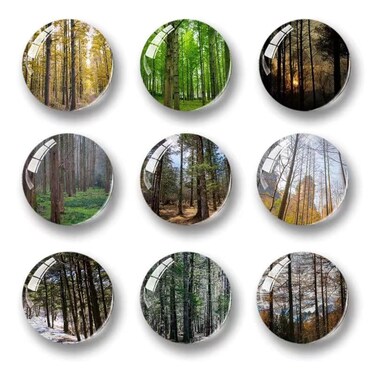 Glass Refrigerator Magnet Decorations, Lissaberg 9Pcs Forest Pattern Strong Magnetic Round Fridge Magnet Decorations for Locker, Office Whiteboard, Photo, Cabinet, Dishwasher Magnet, Forest