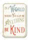 Desperate Enterprises Be Kind Refrigerator Magnet - Funny Magnets for Office, Home &amp; School - Made in The USA