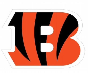 NFL Siskiyou Sports Fan Shop Cincinnati Bengals Logo Magnets 8 inch sheet Team Color