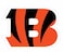 NFL Siskiyou Sports Fan Shop Cincinnati Bengals Logo Magnets 8 inch sheet Team Color
