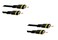 2 Pack, Composite Video Cable, RCA Male, Gold plated Connectors, 6 Feet, CNE499166