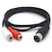 GLHONG Din 7 Pin Male to Dual RCA Female Audio Cable Cord for Bang &amp; Olufsen, Naim, Quad.Stereo Systems (1 Meter)