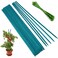 Garden Wood Stakes,HOUNANG Green Bamboo Plant Support Stakes,Flower/Orchid/Tomato Wooden Stakes for Gardening,Plant Stakes and Supports for Potted Plants - 25Pcs 12 Inches