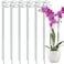 12 Pack 36 inch Plant Support Stakes,Single Stem Plant Support Stake Single Plant Stem Garden Flower Support Stake Steel Plant Cage Support Ring for Orchid Gladiolus Iris Dahlia Amaryllis Rose Lily