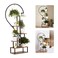 Metal Plant Stand, Heart Shape Ladder Plant Stands for Indoor Plants Multiple, Black Plant Shelf Rack for Home Patio Lawn Garden (1 Pack)