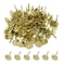 S SYDIEN 100Pcs Flat Head Upholstery Tacks 11mmx17mm Furniture Decor Tacks Flat Push Pins Flat Thumb Tacks for Sofa Door Decoration, Gold