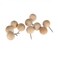 Joyous Journey Decorative Wood Push Pins, Natural Wood Head with Steel Needle Point Thumb Tacks for Documents, Photos, Maps, and Bulletin Boards (Round)