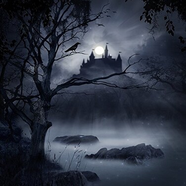 Laeacco Haunted Castle Backdrop 6x6ft Vinyl Photography Background Night Scenery Halloween Spider Web Cropw Full Moon Enchanted Forest Childrem Kids Photos Video Studio Props