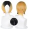 Liamiona Cosplay Short Wig Heat Resistant Synthetic Hair Anime Wig Halloween Carnival Party Wigs