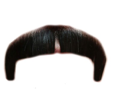 Sonny Bono Villain Human Hair Mustache (Black)