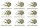Softball Temporary Tattoo Pack of 24, Gift for Girls Team Player, Goodie Bag Filler