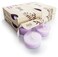 Pure English Lavender Premium Tealight Candles Bulk Pack - Highly Scented with Essential &amp; Natural Oils - 24 Purple Tea Lights - Beautiful Candlelight - Made in The USA - Flower &amp; Floral Collection