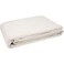 Premium Cotton Canvas Drop Cloth - 8 oz, 4x5 ft - Perfect for Painting, Furniture &amp; Floor Protection 4x5 (4x5)