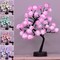 18 Colors Rose Tree Lamp, Color Changing Multicolor Rose Table Lamp with Remote, Pink Flower Lamp Girls Gift for Mother&acirc;&euro;&trade;s Day, Lighted Tabletop Tree for Christmas Valentine&acirc;&euro;&trade;s Day Wedding Decor