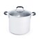 T-fal Specialty Stainless Steel Stockpot 12 Quart Oven Safe 350F Pots and Pans, Cookware Silver