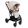 Primo Passi Icon V2 Baby Stroller, Newborn to Toddler with Reversible Seat, Extended Canopy &amp; Car Seat Adapter (Beige)