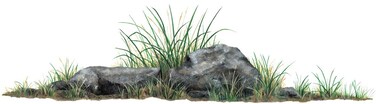 Walls of the Wild Rocks &amp; Grass Wall Decal (42 in. x 12 in.)