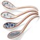Asian Soup Spoons with Long Handle,Ceramic Spoons Japanese Ramen Spoons,Chinese Soup Spoons Vietnamese Wonton Noodle Soup Spoons Set of 4