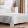 SLEEP ZONE Striped Sheet Set Queen Size 4 Piece - Double Brushed Microfiber Super Soft Breathable Bedding Sheet Deep Pocket 16" (Grey Stripe Printed on White)